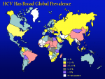 Hepatitis Prevalence 2015