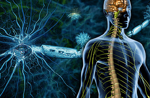 Daclizumab (Zinbryta) approved for the treatment of multiple sclerosis (MS)