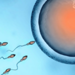 Status der Genetik hinter männlicher Unfruchtbarkeit