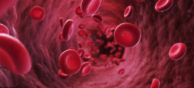 Gene therapy: Hope for patients with beta-thalassemia?